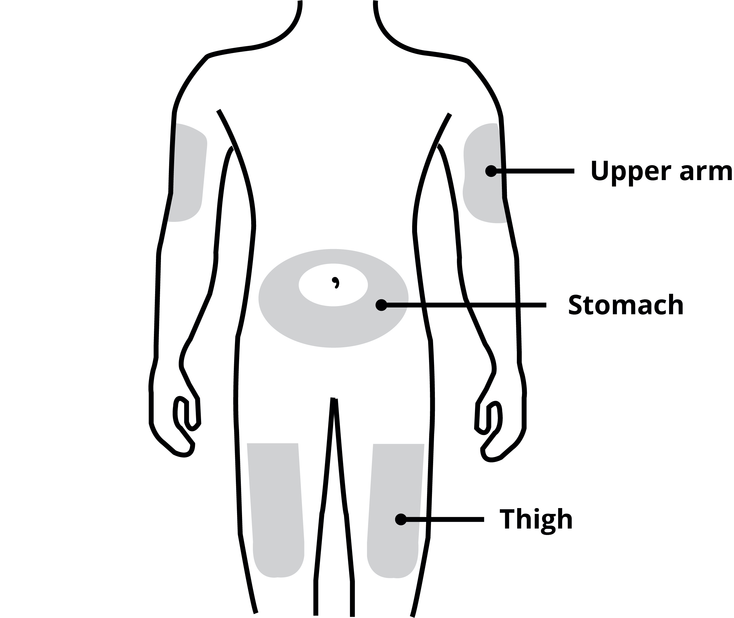 body diagram